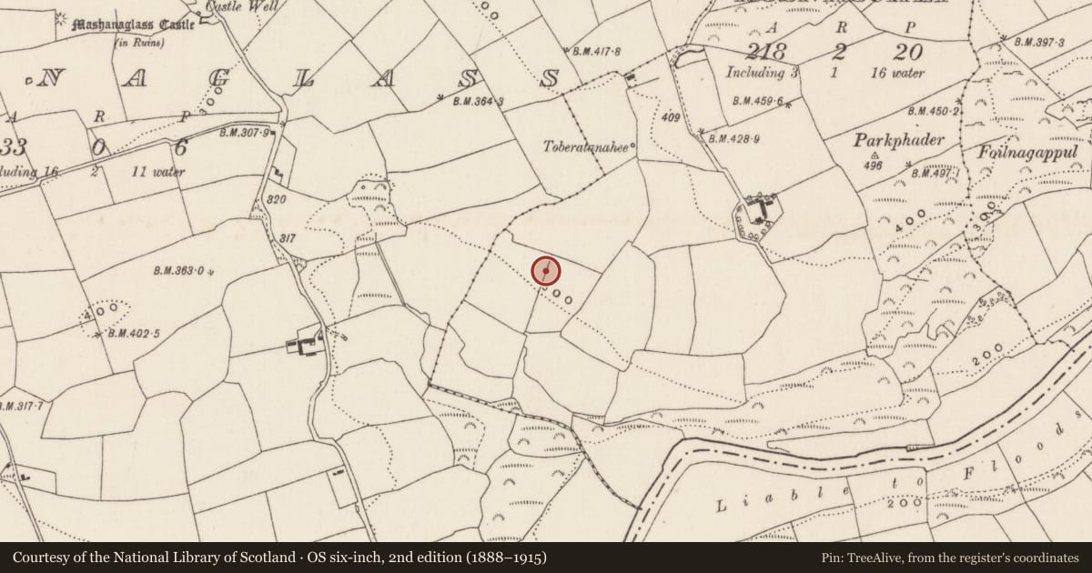 Ordnance Survey six-inch map, 2nd edition (1888–1915) covering the location of Fulacht fia, Rosnascalp, County Cork, with a pin at the register's coordinates