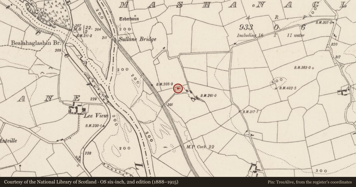 Ordnance Survey six-inch map, 2nd edition (1888–1915) covering the location of Fulacht fia, Mashanaglass, County Cork, with a pin at the register's coordinates
