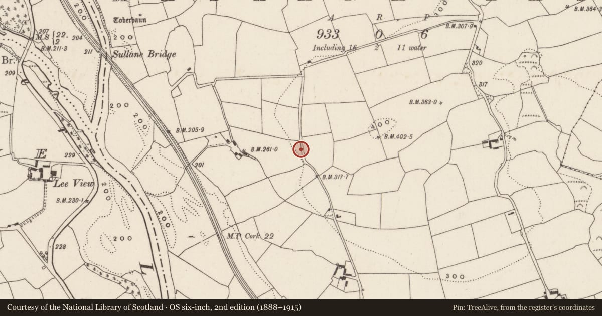 Ordnance Survey six-inch map, 2nd edition (1888–1915) covering the location of Fulacht fia, Mashanaglass, County Cork, with a pin at the register's coordinates