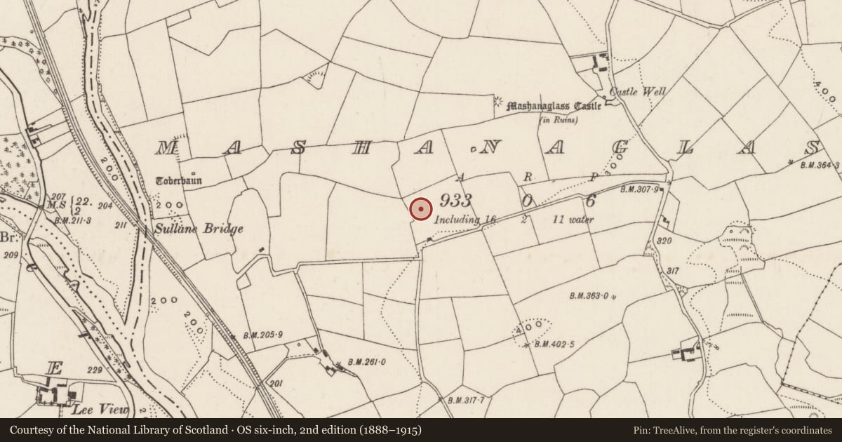 Ordnance Survey six-inch map, 2nd edition (1888–1915) covering the location of Fulacht fia, Mashanaglass, County Cork, with a pin at the register's coordinates