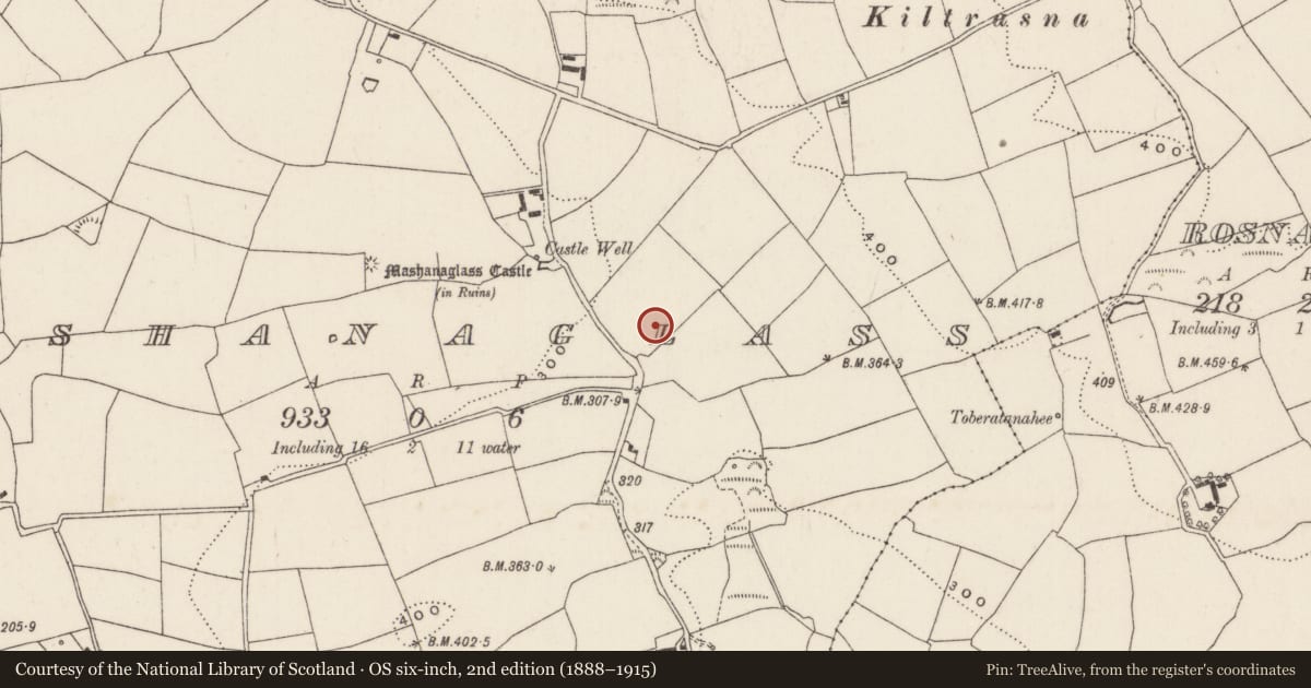 Ordnance Survey six-inch map, 2nd edition (1888–1915) covering the location of Fulacht fia, Mashanaglass, County Cork, with a pin at the register's coordinates