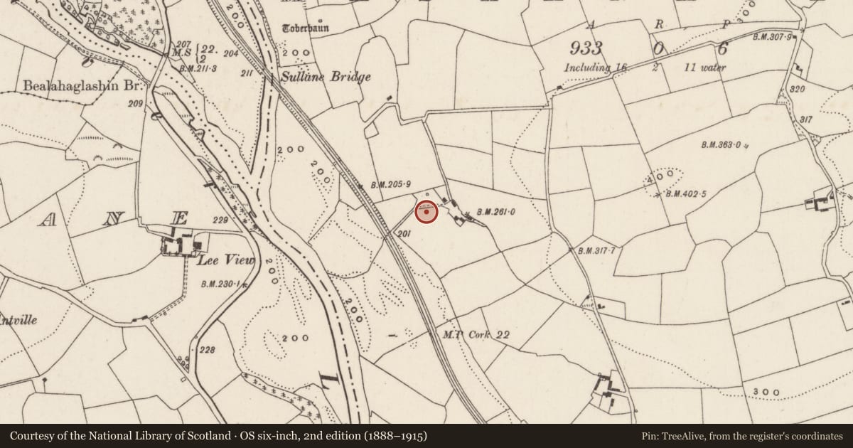 Ordnance Survey six-inch map, 2nd edition (1888–1915) covering the location of Fulacht fia, Mashanaglass, County Cork, with a pin at the register's coordinates