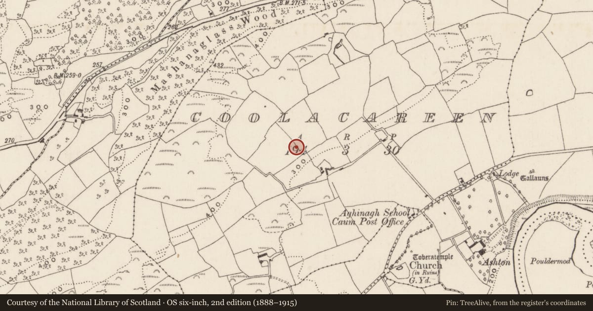Ordnance Survey six-inch map, 2nd edition (1888–1915) covering the location of Fulacht fia, Coolacareen, County Cork, with a pin at the register's coordinates