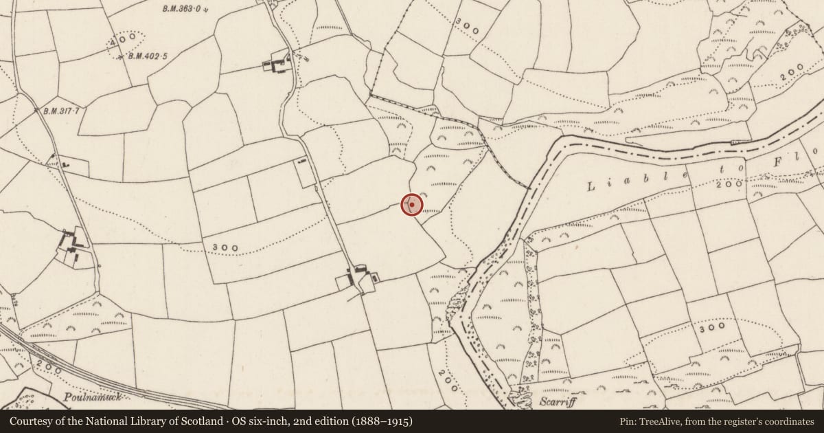 Ordnance Survey six-inch map, 2nd edition (1888–1915) covering the location of Fulacht fia, Mashanaglass, County Cork, with a pin at the register's coordinates