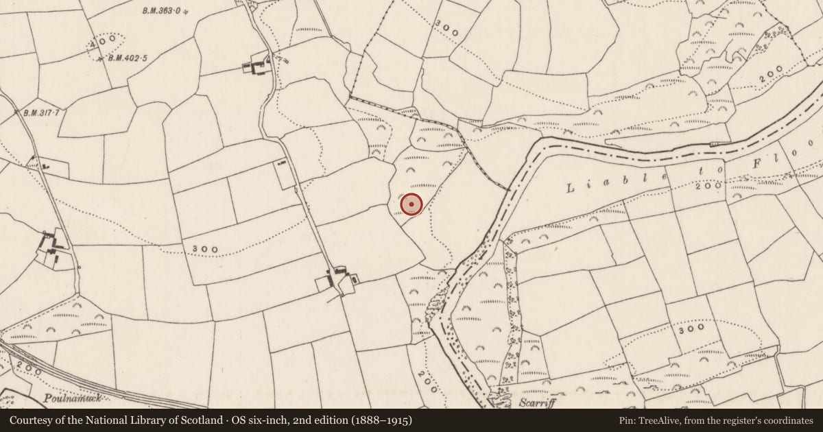 Ordnance Survey six-inch map, 2nd edition (1888–1915) covering the location of Fulacht fia, Mashanaglass, County Cork, with a pin at the register's coordinates