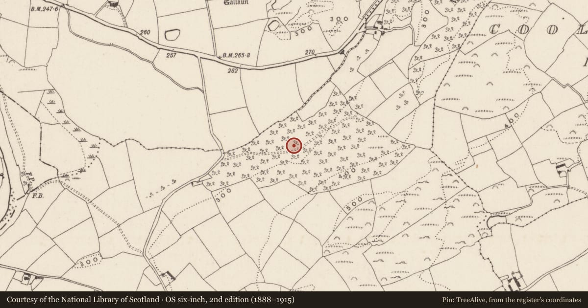 Ordnance Survey six-inch map, 2nd edition (1888–1915) covering the location of Fulacht fia, Mashanaglass, County Cork, with a pin at the register's coordinates