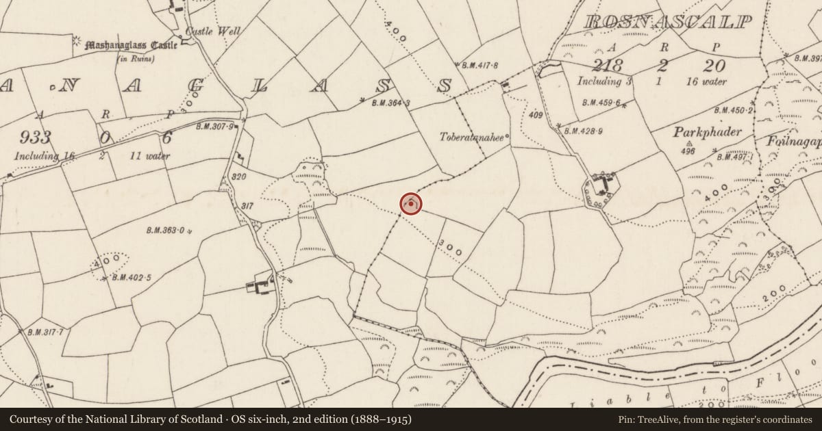 Ordnance Survey six-inch map, 2nd edition (1888–1915) covering the location of Fulacht fia, Mashanaglass, County Cork, with a pin at the register's coordinates