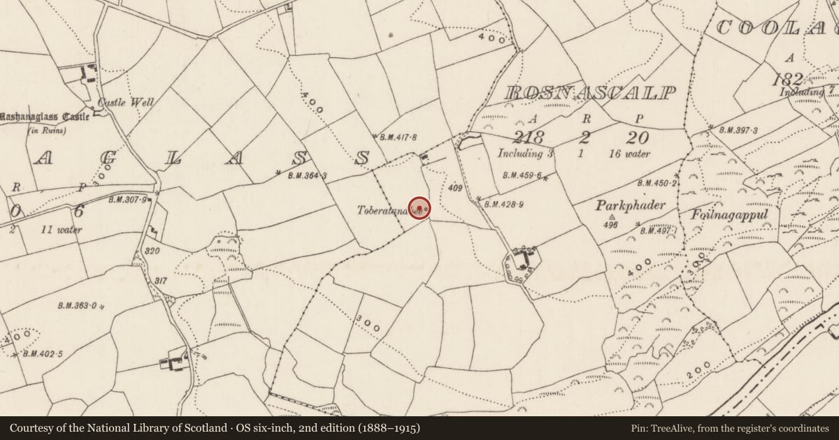 Ordnance Survey six-inch map, 2nd edition (1888–1915) covering the location of Fulacht fia, Rosnascalp, County Cork, with a pin at the register's coordinates