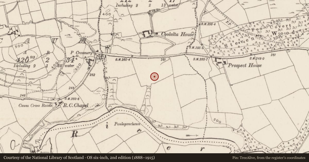 Ordnance Survey six-inch map, 2nd edition (1888–1915) covering the location of Fulacht fia, Coolalta, County Cork, with a pin at the register's coordinates