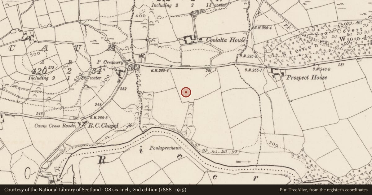 Ordnance Survey six-inch map, 2nd edition (1888–1915) covering the location of Fulacht fia, Coolalta, County Cork, with a pin at the register's coordinates