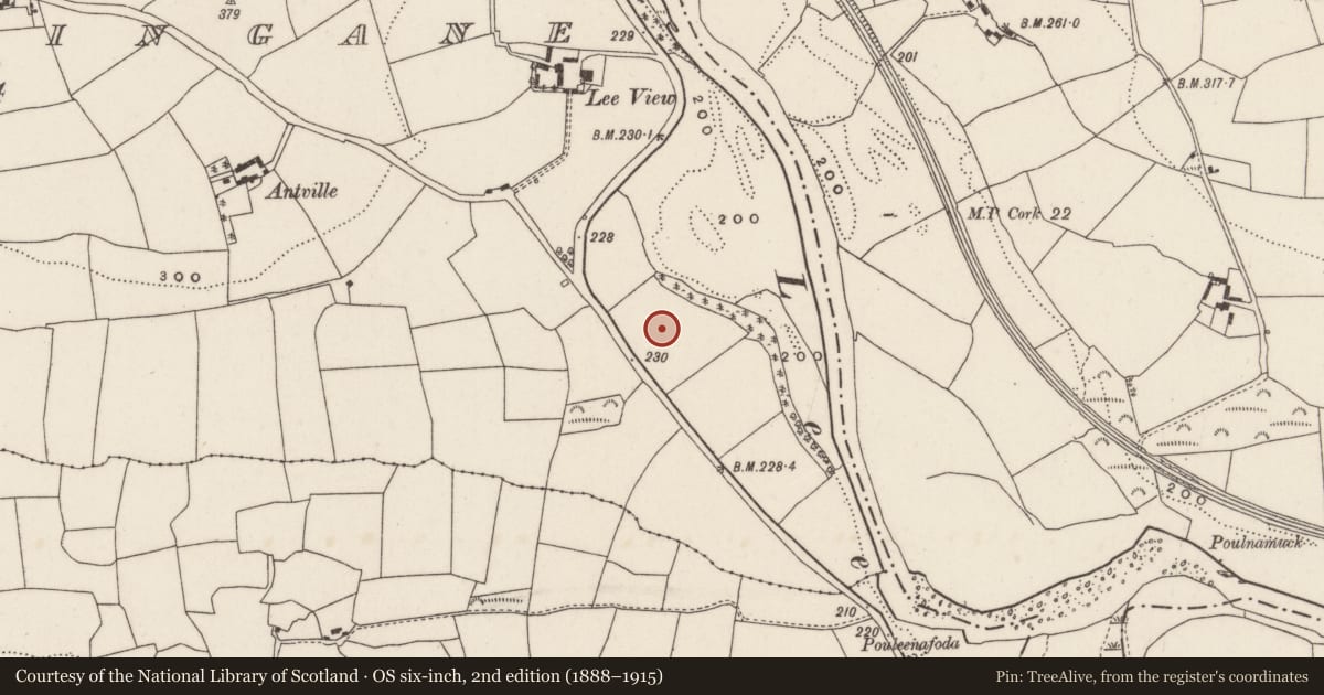 Ordnance Survey six-inch map, 2nd edition (1888–1915) covering the location of Standing stone, Inchinashingane, County Cork, with a pin at the register's coordinates