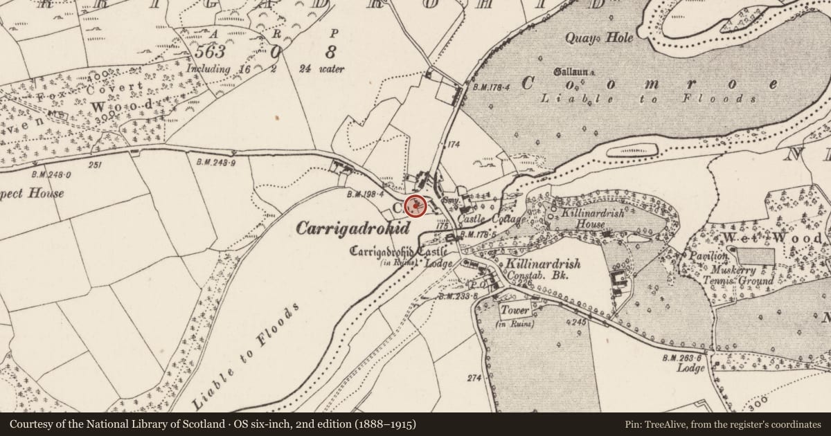 Ordnance Survey six-inch map, 2nd edition (1888–1915) covering the location of Church, Carrigadrohid, County Cork, with a pin at the register's coordinates