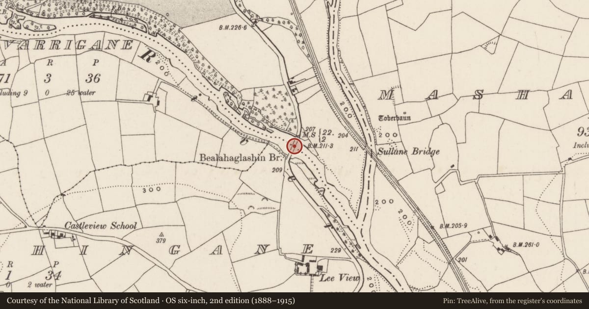 Ordnance Survey six-inch map, 2nd edition (1888–1915) covering the location of Bridge, Coolcour, County Cork, with a pin at the register's coordinates