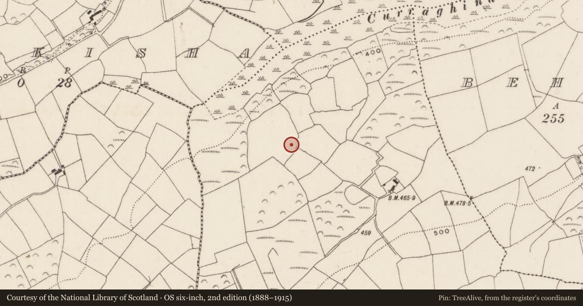 Ordnance Survey six-inch map, 2nd edition (1888–1915) covering the location of Standing stone, Drombeg, County Cork, with a pin at the register's coordinates