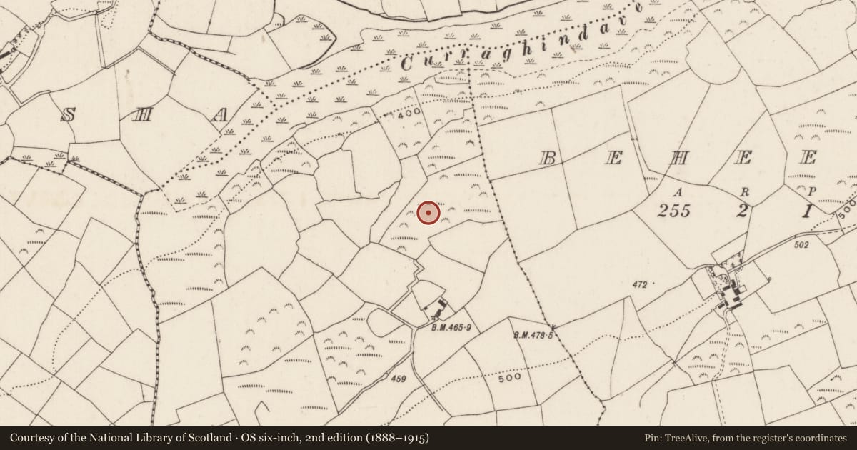 Ordnance Survey six-inch map, 2nd edition (1888–1915) covering the location of Fulacht fia, Drombeg, County Cork, with a pin at the register's coordinates