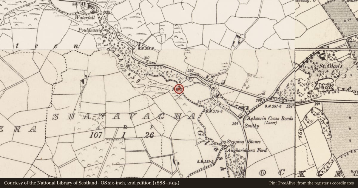 Ordnance Survey six-inch map, 2nd edition (1888–1915) covering the location of Clapper bridge, Aghavrin, Shanavagha, County Cork, with a pin at the register's coordinates