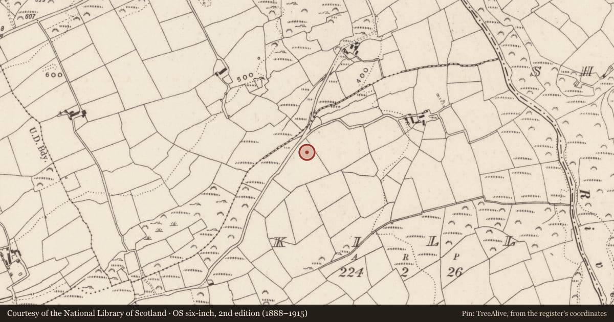 Ordnance Survey six-inch map, 2nd edition (1888–1915) covering the location of Souterrain, Kill, County Cork, with a pin at the register's coordinates