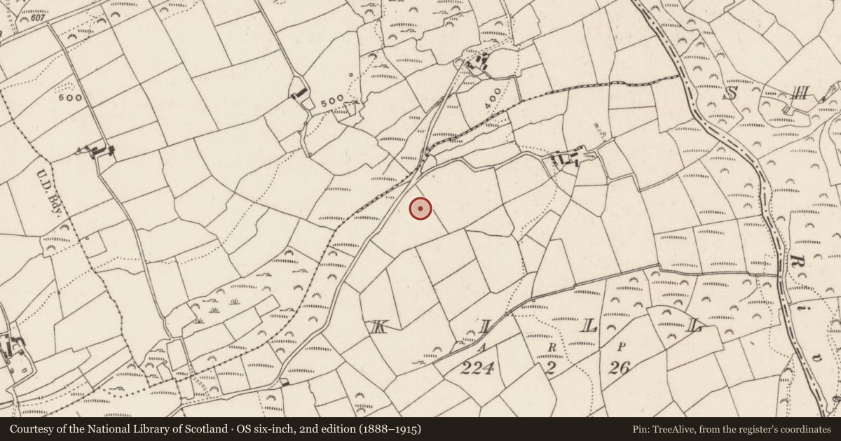 Ordnance Survey six-inch map, 2nd edition (1888–1915) covering the location of Enclosure, Kill, County Cork, with a pin at the register's coordinates