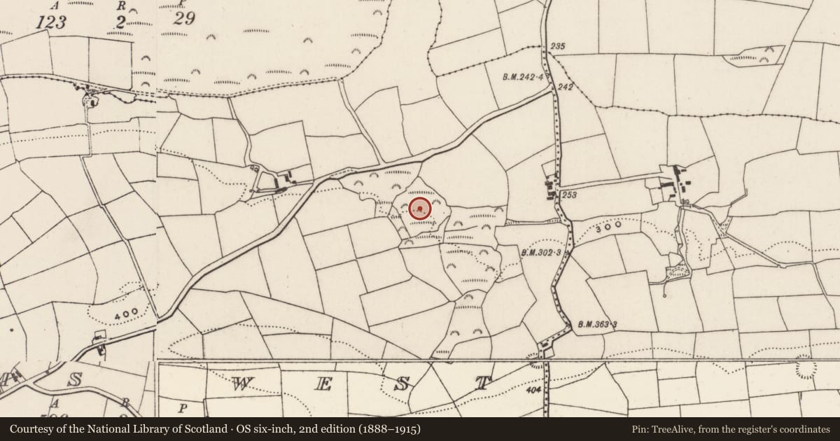 Ordnance Survey six-inch map, 2nd edition (1888–1915) covering the location of Anomalous stone group, Tooms West, County Cork, with a pin at the register's coordinates