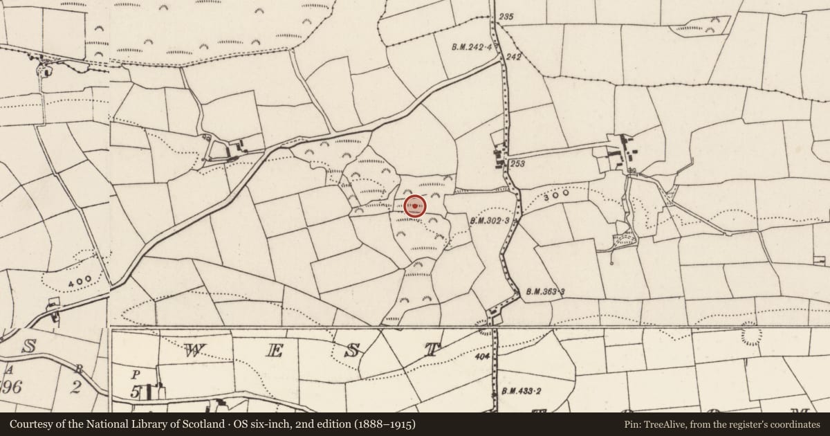 Ordnance Survey six-inch map, 2nd edition (1888–1915) covering the location of Penitential station, Tooms West, County Cork, with a pin at the register's coordinates