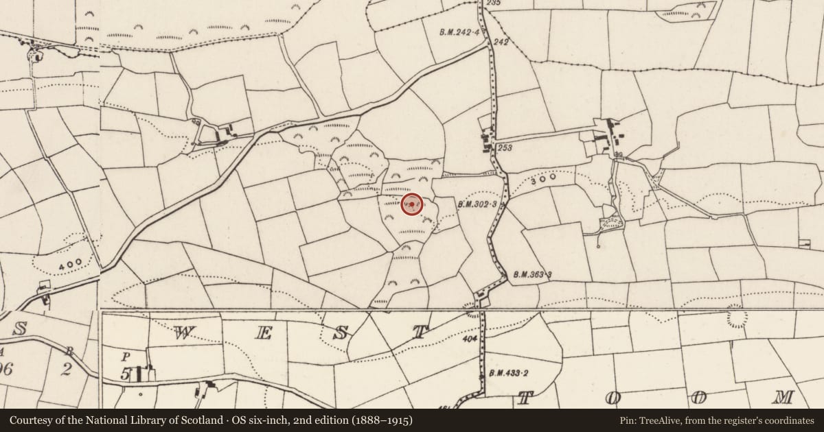 Ordnance Survey six-inch map, 2nd edition (1888–1915) covering the location of Mass-rock, Tooms West, County Cork, with a pin at the register's coordinates