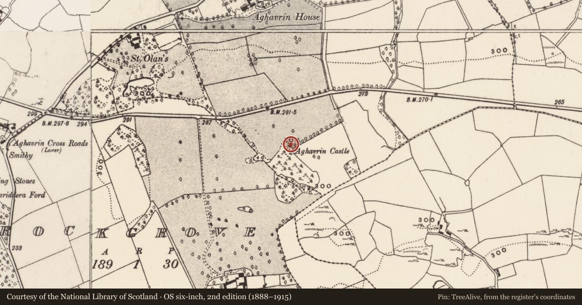 Ordnance Survey six-inch map, 2nd edition (1888–1915) covering the location of Designed landscape - belvedere, Aghavrin, County Cork, with a pin at the register's coordinates