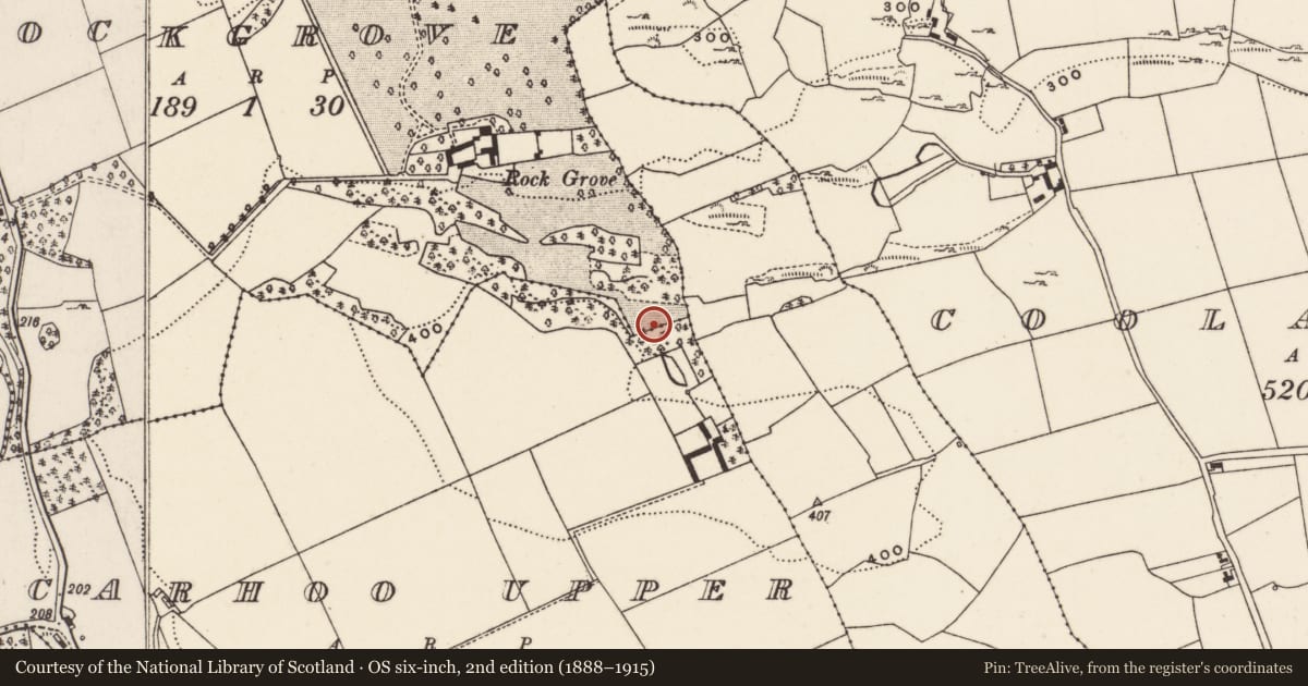 Ordnance Survey six-inch map, 2nd edition (1888–1915) covering the location of Fulacht fia, Rockgrove, County Cork, with a pin at the register's coordinates