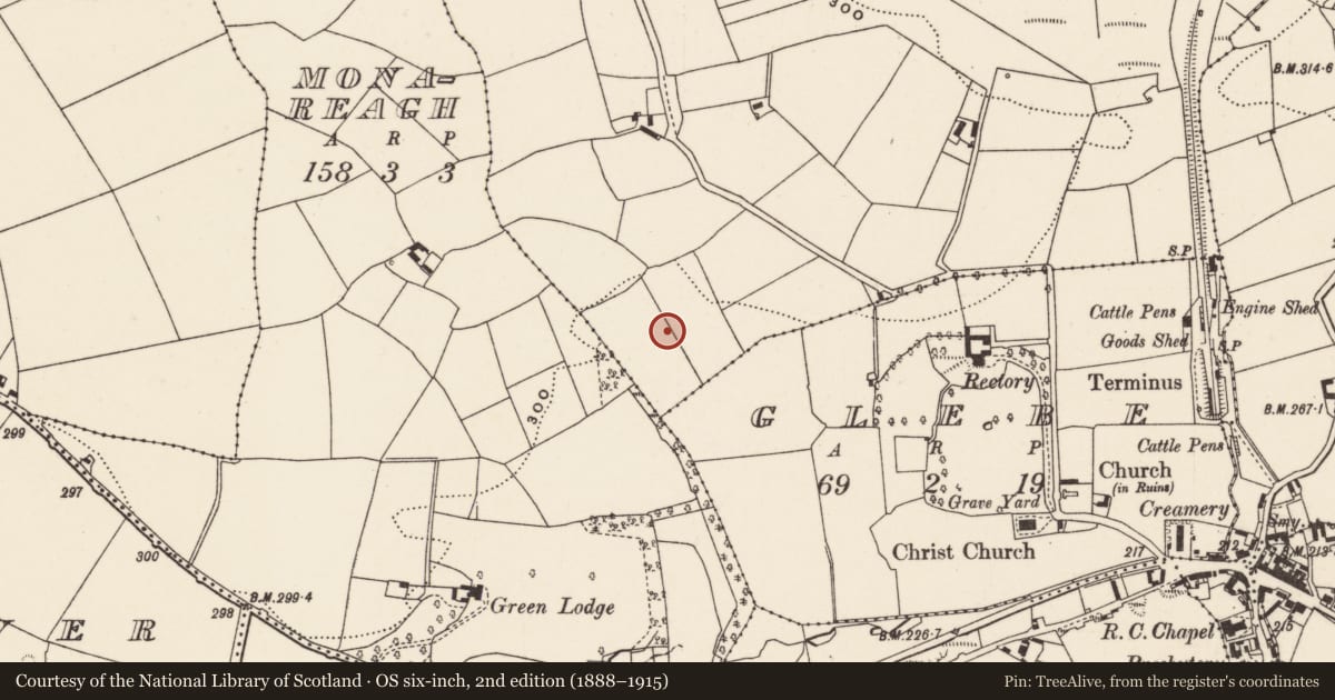Ordnance Survey six-inch map, 2nd edition (1888–1915) covering the location of Fulacht fia, Coolacullig, County Cork, with a pin at the register's coordinates