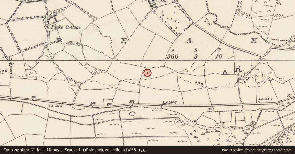 Ordnance Survey six-inch map, 2nd edition (1888–1915) covering the location of Ringfort - rath, Peake, County Cork, with a pin at the register's coordinates