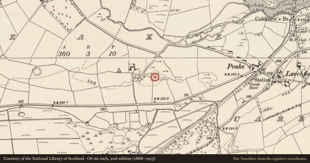 Ordnance Survey six-inch map, 2nd edition (1888–1915) covering the location of Ringfort - rath, Peake, County Cork, with a pin at the register's coordinates