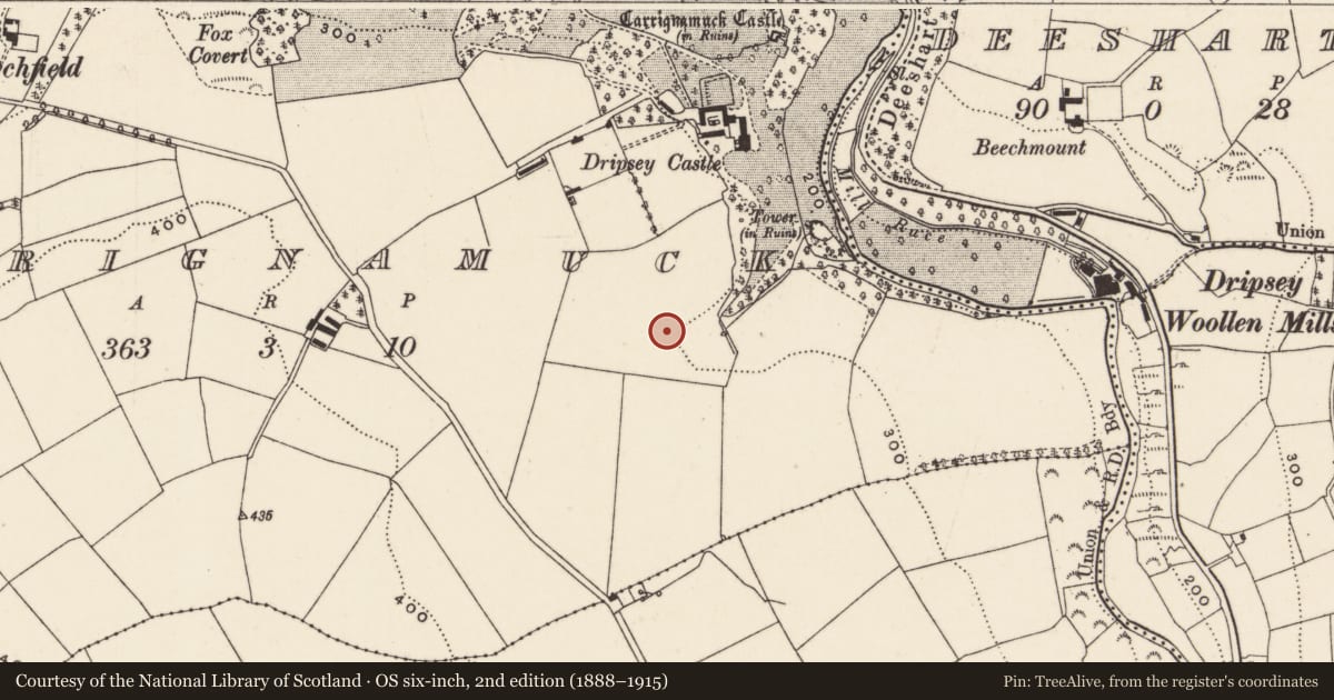 Ordnance Survey six-inch map, 2nd edition (1888–1915) covering the location of Fulacht fia, Carrignamuck, County Cork, with a pin at the register's coordinates