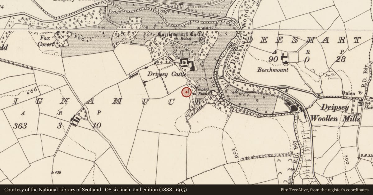 Ordnance Survey six-inch map, 2nd edition (1888–1915) covering the location of Designed landscape - belvedere, Carrignamuck, County Cork, with a pin at the register's coordinates