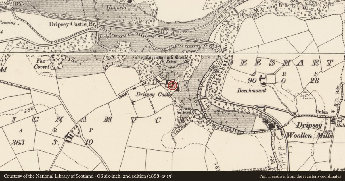 Ordnance Survey six-inch map, 2nd edition (1888–1915) covering the location of Country house, Carrignamuck, County Cork, with a pin at the register's coordinates