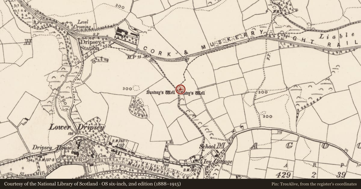 Ordnance Survey six-inch map, 2nd edition (1888–1915) covering the location of Ritual site - holy well, Magooly, County Cork, with a pin at the register's coordinates