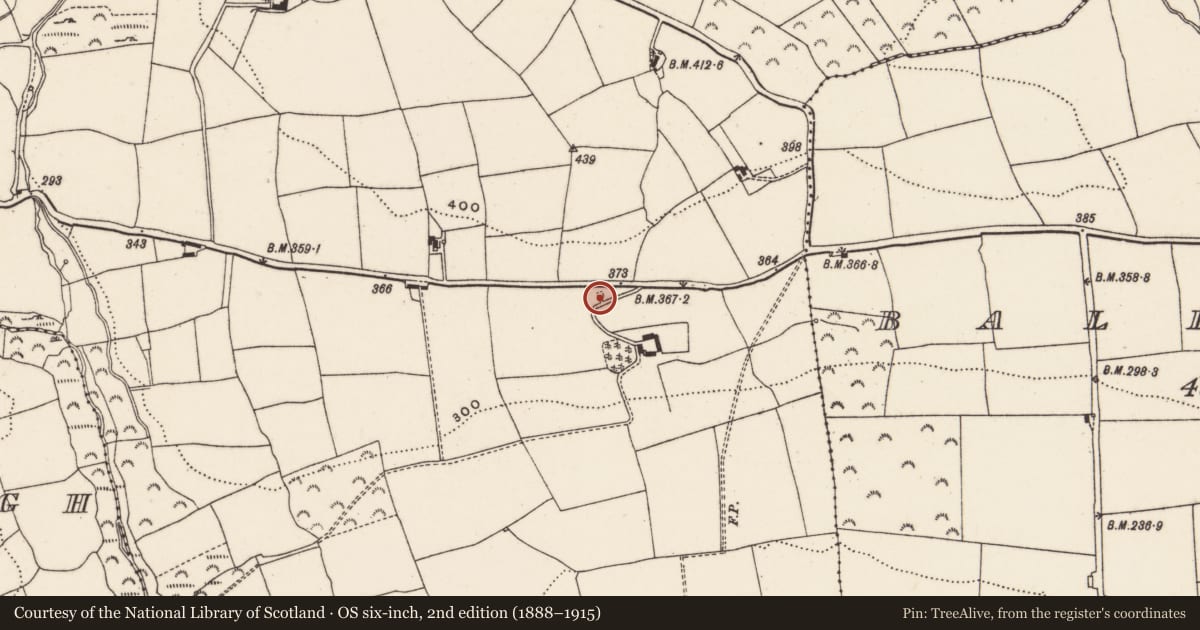 Ordnance Survey six-inch map, 2nd edition (1888–1915) covering the location of Kiln - lime, Berrings, County Cork, with a pin at the register's coordinates