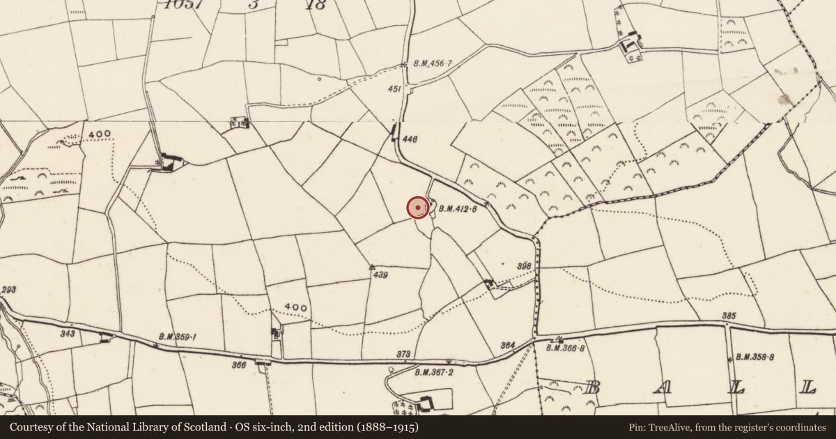 Ordnance Survey six-inch map, 2nd edition (1888–1915) covering the location of Standing stone, Berrings, County Cork, with a pin at the register's coordinates