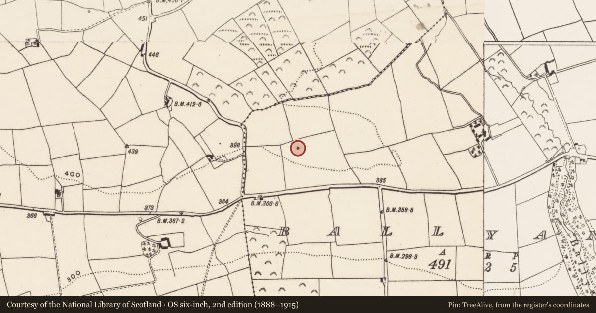 Ordnance Survey six-inch map, 2nd edition (1888–1915) covering the location of Souterrain, Ballyanly, County Cork, with a pin at the register's coordinates