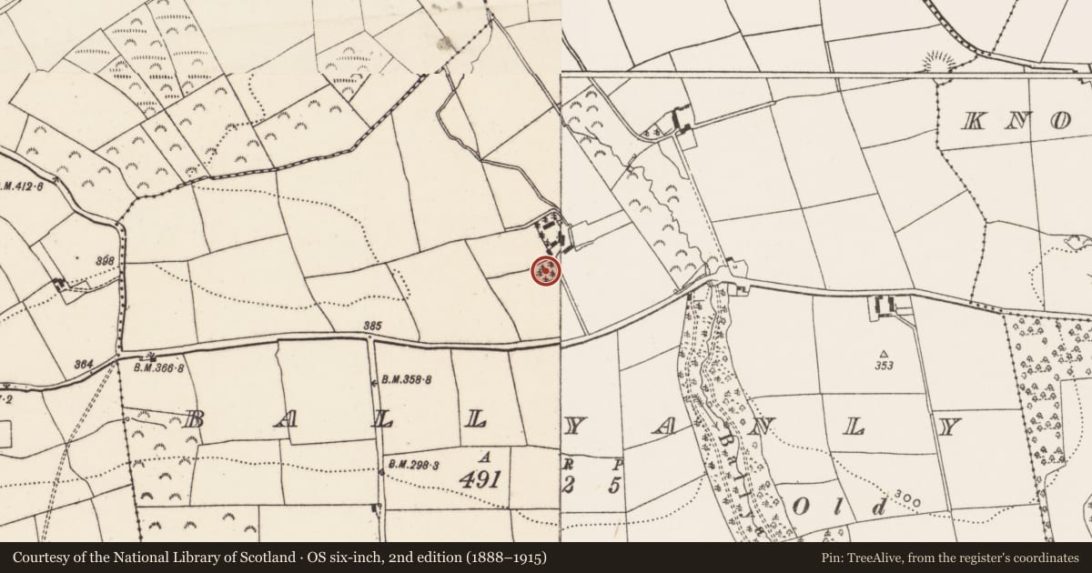 Ordnance Survey six-inch map, 2nd edition (1888–1915) covering the location of Souterrain, Ballyanly, County Cork, with a pin at the register's coordinates