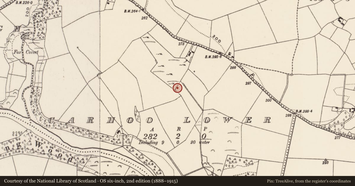 Ordnance Survey six-inch map, 2nd edition (1888–1915) covering the location of Fulacht fia, Carhoo Lower, County Cork, with a pin at the register's coordinates