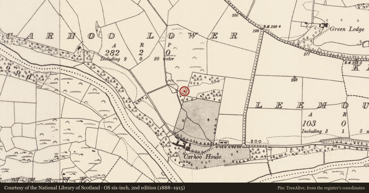 Ordnance Survey six-inch map, 2nd edition (1888–1915) covering the location of Fulacht fia, Carhoo Lower, County Cork, with a pin at the register's coordinates