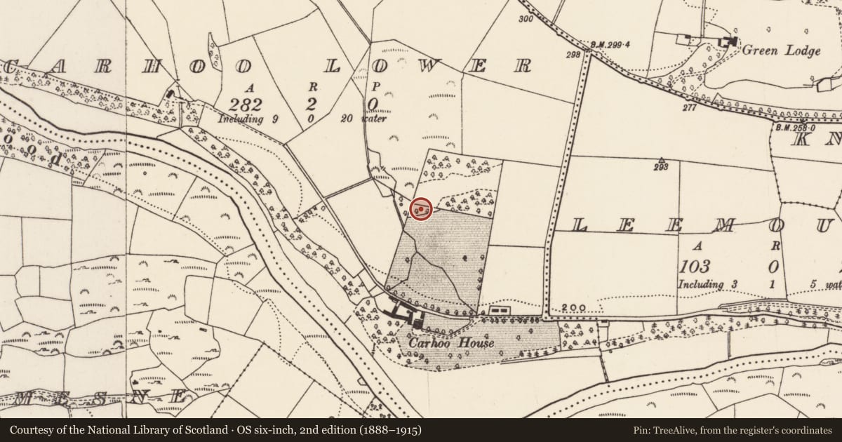 Ordnance Survey six-inch map, 2nd edition (1888–1915) covering the location of Fulacht fia, Carhoo Lower, County Cork, with a pin at the register's coordinates