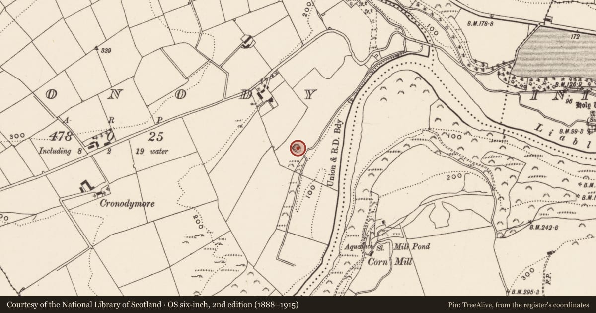 Ordnance Survey six-inch map, 2nd edition (1888–1915) covering the location of Quarry, Cronody, County Cork, with a pin at the register's coordinates
