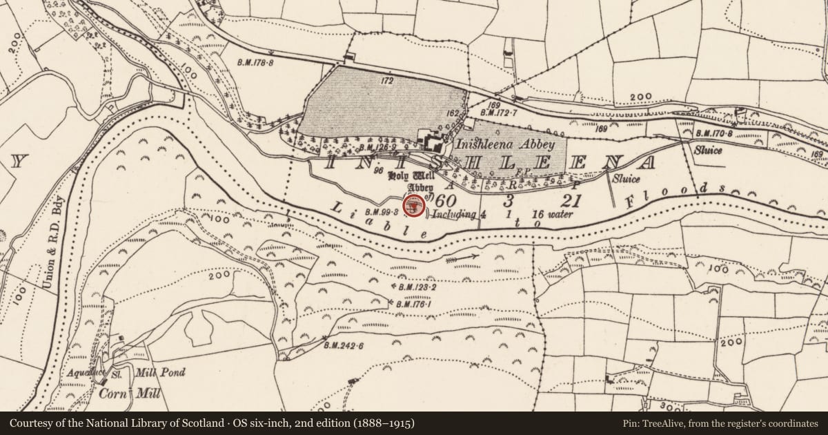 Ordnance Survey six-inch map, 2nd edition (1888–1915) covering the location of Burial ground, Inishleena, County Cork, with a pin at the register's coordinates