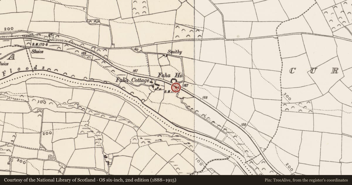 Ordnance Survey six-inch map, 2nd edition (1888–1915) covering the location of Bullaun stone, Faha, County Cork, with a pin at the register's coordinates