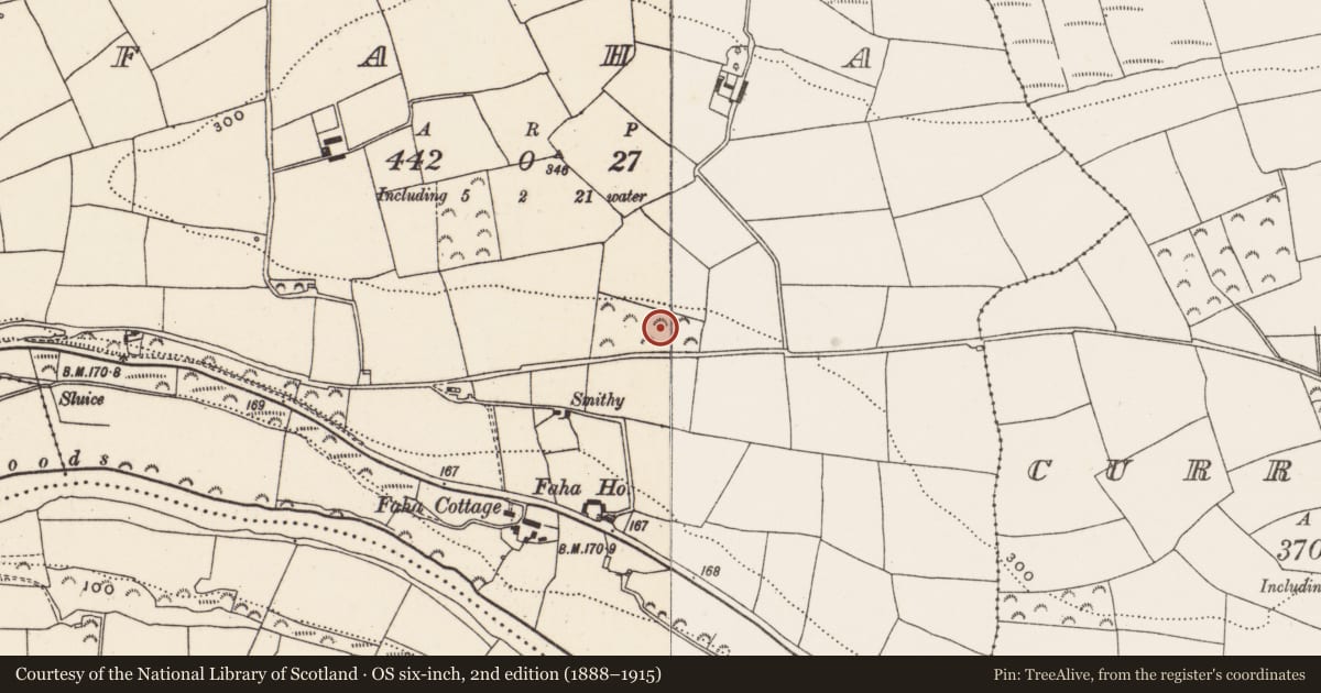 Ordnance Survey six-inch map, 2nd edition (1888–1915) covering the location of Enclosure, Faha, County Cork, with a pin at the register's coordinates