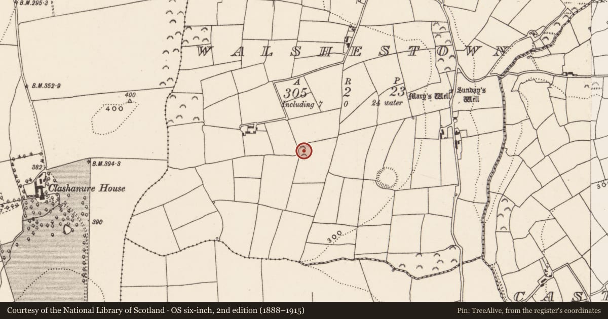 Ordnance Survey six-inch map, 2nd edition (1888–1915) covering the location of Ringfort - rath, Walshestown, County Cork, with a pin at the register's coordinates