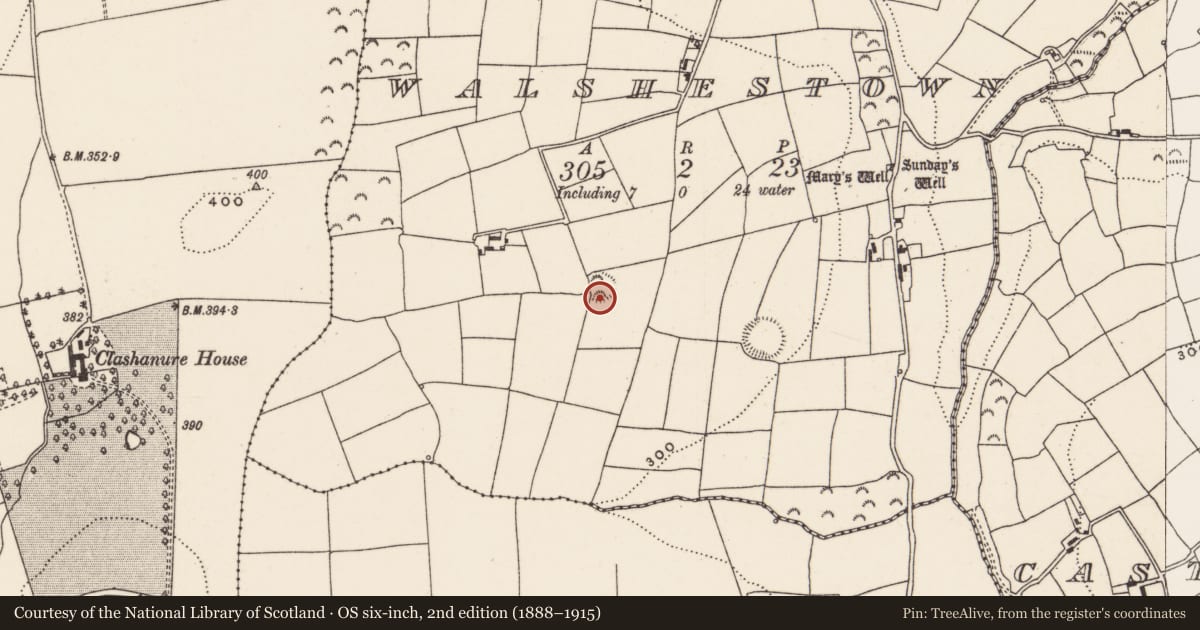 Ordnance Survey six-inch map, 2nd edition (1888–1915) covering the location of Souterrain, Walshestown, County Cork, with a pin at the register's coordinates