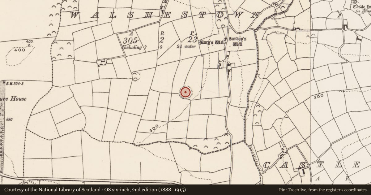 Ordnance Survey six-inch map, 2nd edition (1888–1915) covering the location of Souterrain, Walshestown, County Cork, with a pin at the register's coordinates