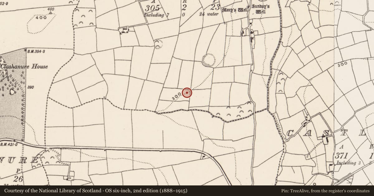 Ordnance Survey six-inch map, 2nd edition (1888–1915) covering the location of Enclosure, Walshestown, County Cork, with a pin at the register's coordinates
