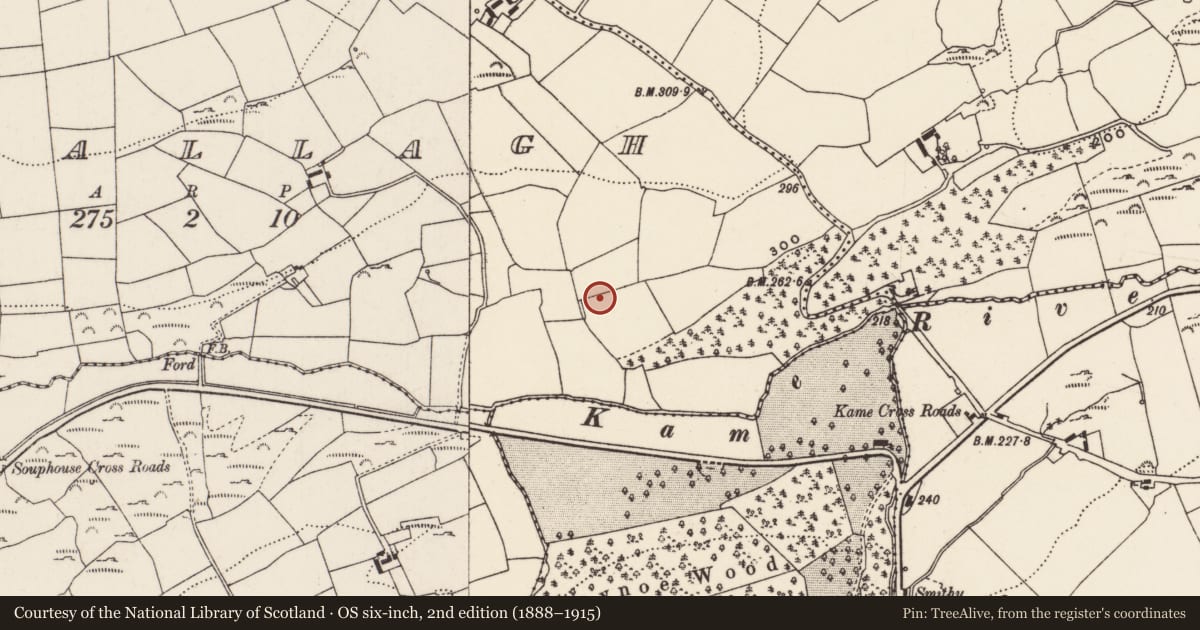Ordnance Survey six-inch map, 2nd edition (1888–1915) covering the location of Standing stone, Mahallagh, County Cork, with a pin at the register's coordinates